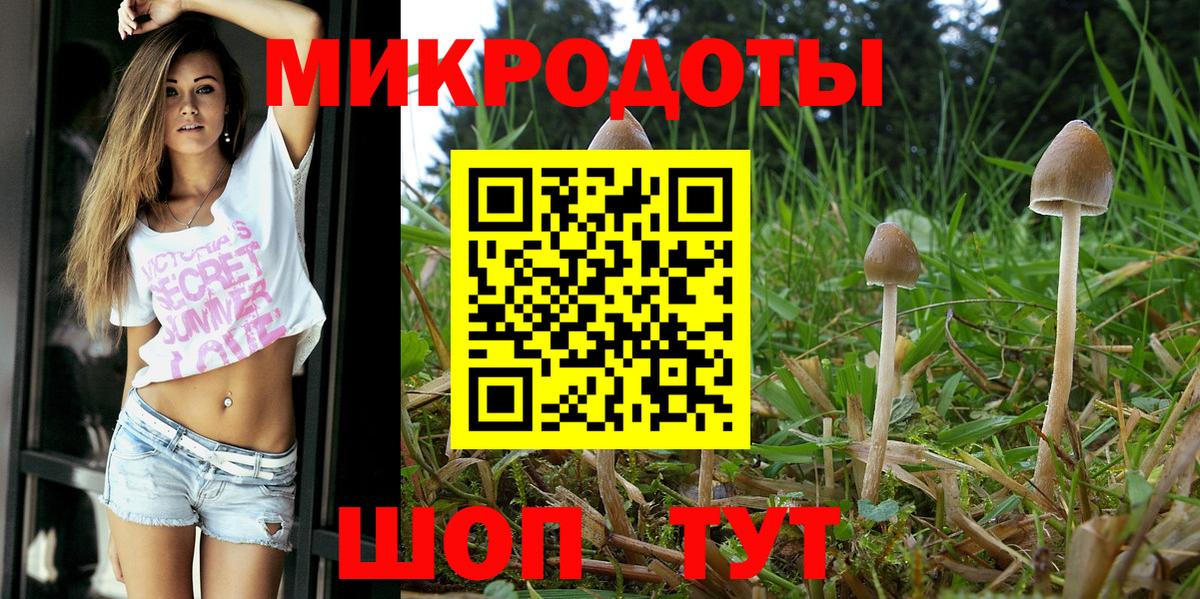 Тихвин  Псилоцибиновые грибы Magic Shrooms  Вход с VPN 
